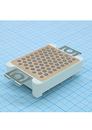 FF11MR12W1M1PB11BPSA1, Module