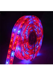 PhytoLamp-300, светодиодная фитолента 3 кр/1синий 12В 5м 300 led