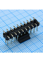 DS1022-06-2X10S81SR-B