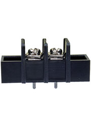 X977Y02, клеммник 2 контакта шаг 10 мм (аналог DG55H-A-02P)