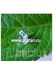 BL-FL7680RGBC-CA, Светодиод "Пиранья" полноцветный RGB  80  400/1200/400мКд