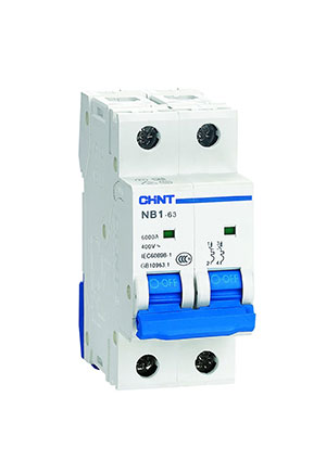 179681, Авт. выкл. NB1-63 2P 6A 6кА х-ка D (DB)