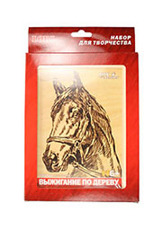 ВЫЖИГАНИЕ В РАМКЕ "ЛОШАДЬ"